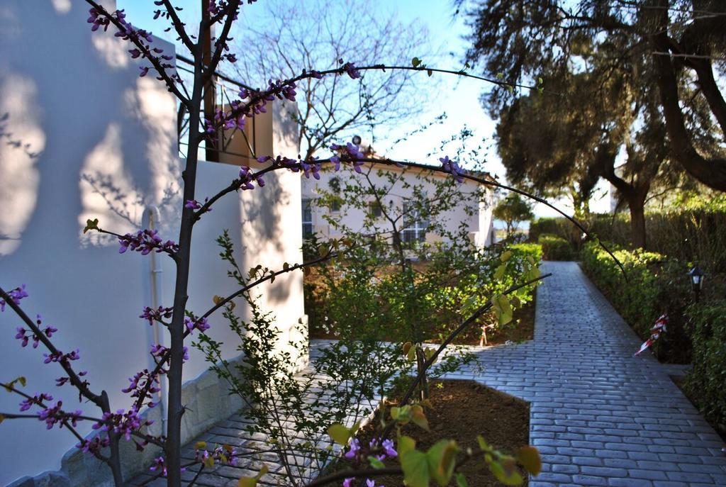 Apartmán Alkiones Plati  Exteriér fotografie